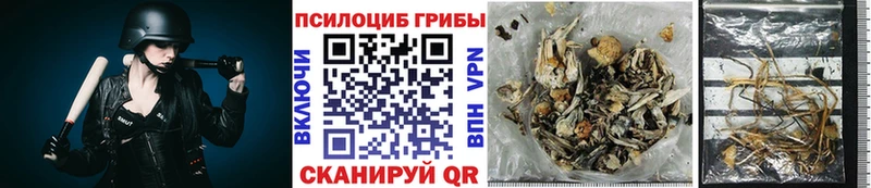 Псилоцибиновые грибы MAGIC MUSHROOMS  Купить  Бородино 